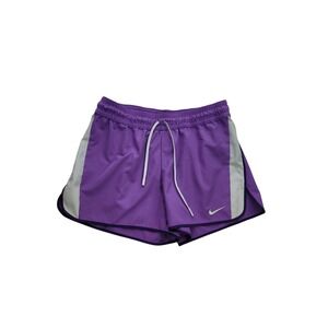 Nike Dri-FIT Purple Running Shorts Womens Large Grey Side Stripe Athletic Gym